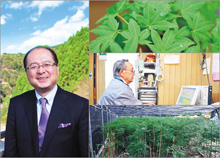 株式会社いろどり 代表取締役社長 横石知二